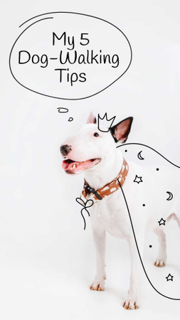 Plantilla de diseño de bull terrier para perros consejos para caminar Instagram Story 