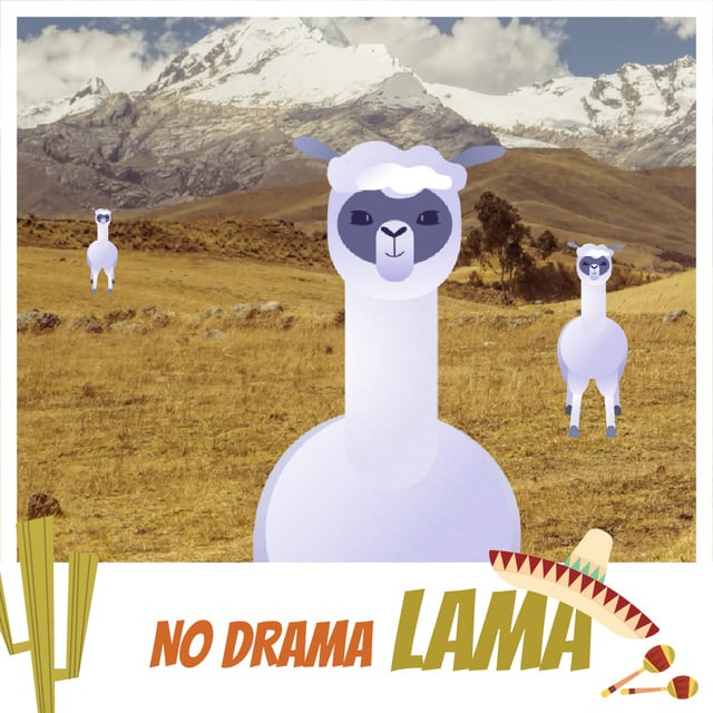 Funny Lamas in Pampas Animated Post Design Template