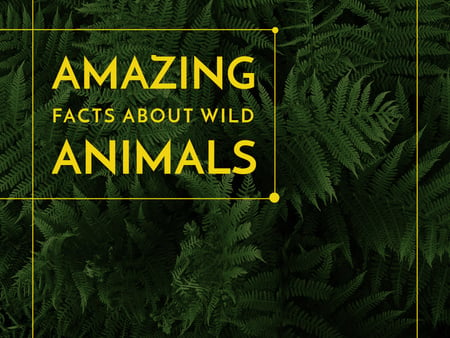 Designvorlage Amazing facts about wild animals für Presentation