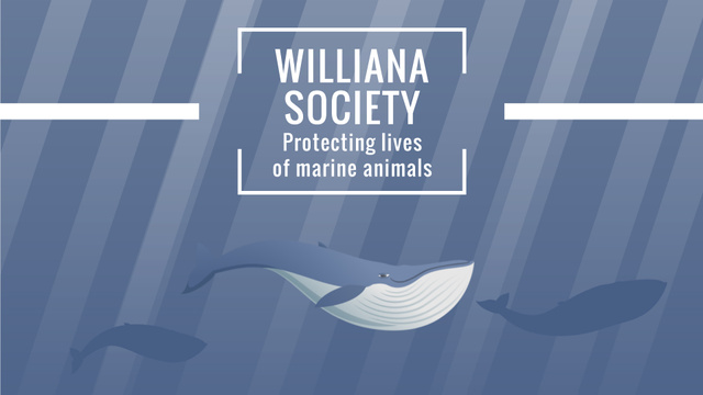 Marine Life Society Whales Swimming Underwater Full HD video Design Template