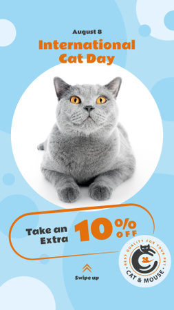 Cat Day Sale Cute Grey Shorthair Cat Instagram Story – шаблон для дизайну