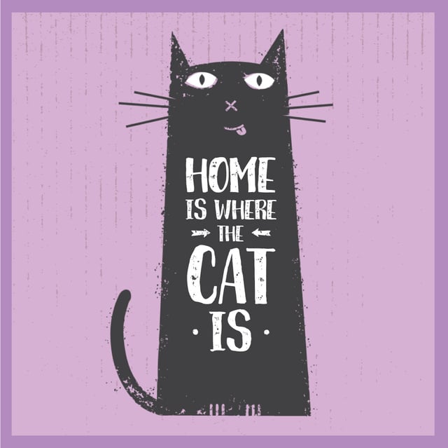 Funny black cat on Purple Animated Post – шаблон для дизайну