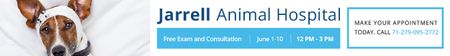Plantilla de diseño de Jarrell Animal Hospital Leaderboard 