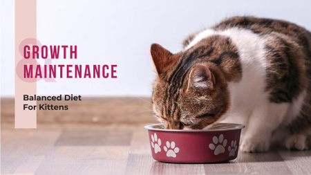 Cute cat eating from bowl on floor Presentation Wide Modelo de Design