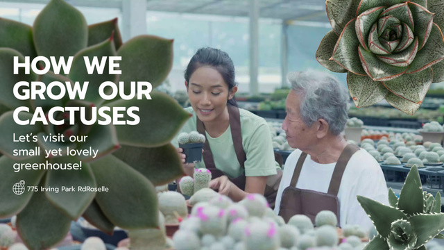 Plantilla de diseño de Local Greenhouse Showing How To Grow Cacti Full HD video 