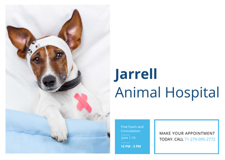 Dog in Animal Hospital Postcard Design Template