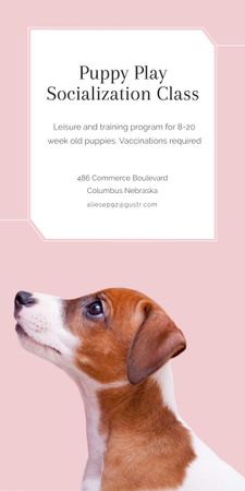 Puppy socialization class with Dog in pink Graphic Design Template