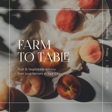Frutas Orgânicas da Fazenda à Mesa Instagram AD Modelo de Design