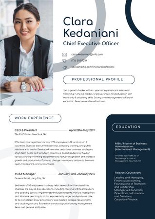 Chief Executive Officer skills and experience Resume Tasarım Şablonu