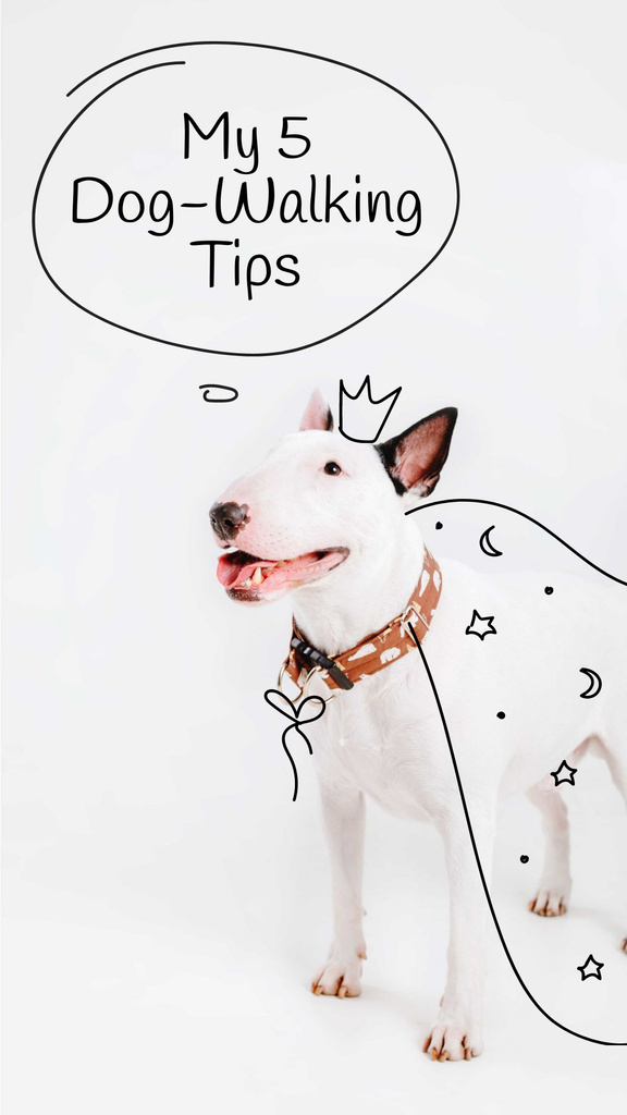 Designvorlage Bull Terrier for Dog Walking tips für Instagram Story