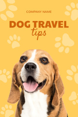 Travel Tips with Cute Beagle Dog