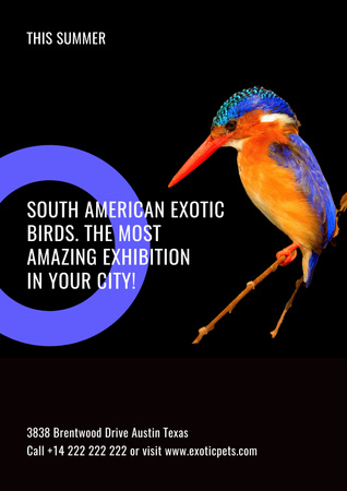 Modèle de visuel Boutique d'oiseaux exotiques d'Amérique du Sud - Poster