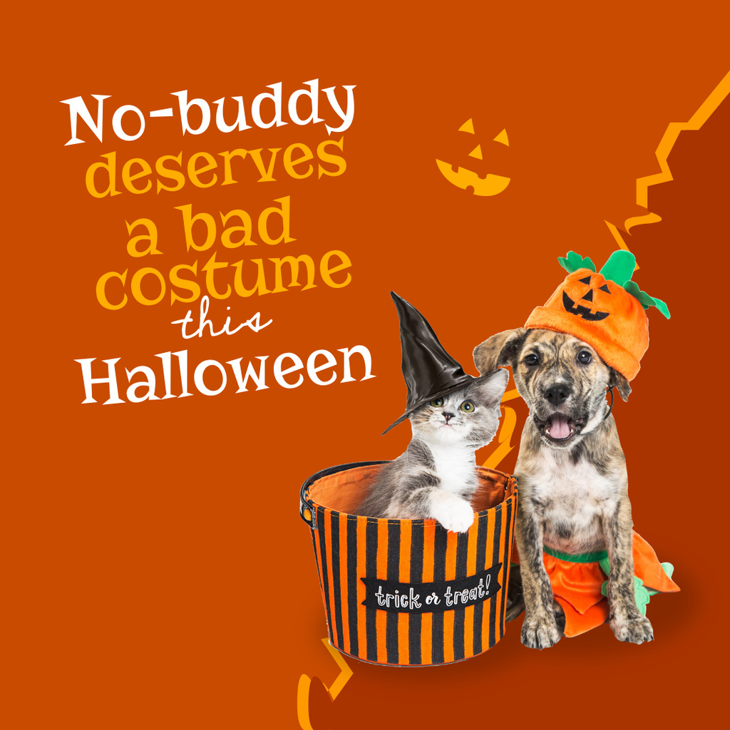Funny Animals in Halloween Costumes Instagram Design Template