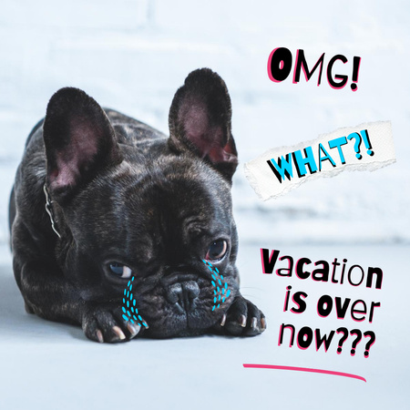 Cute Dog is Sad about end of Vacation Instagram Šablona návrhu