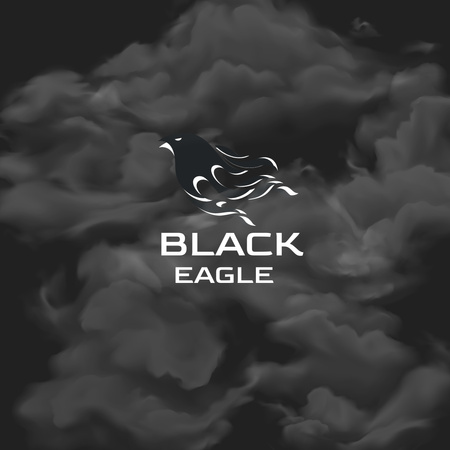 Black Eagle Emblem in Dark Clouds Logo 1080x1080pxデザインテンプレート