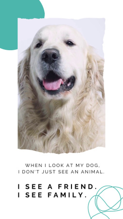 Pets Adoption Motivation with Cute Dog Instagram Video Story Modelo de Design