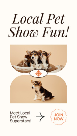 Announcement about Local Funny Pet Show Instagram Video Story Design Template