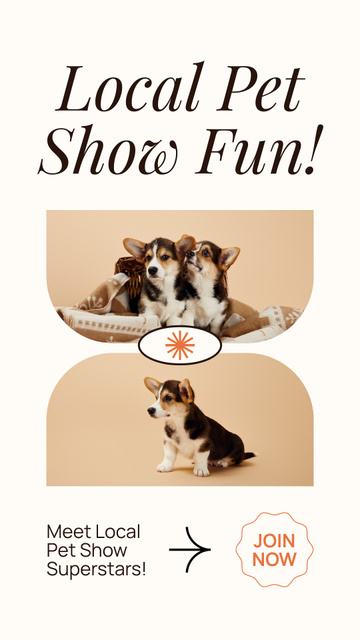 Announcement about Local Funny Pet Show Instagram Video Storyデザインテンプレート