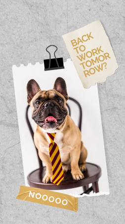 Plantilla de diseño de Funny Dog in Tie Instagram Story 