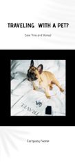 Pet Travel Guide with Cute French Bulldog