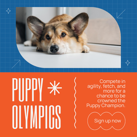 Plantilla de diseño de Alerta de concurso de perros de pura raza Instagram AD 