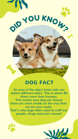 Dog Facts with Funny Puppies Instagram Story Design Template