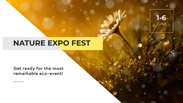 Nature Festival Announcement with Daisy Flower FB event cover Design Template
