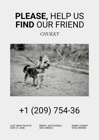Announcement about Missing Puppy Poster – шаблон для дизайну