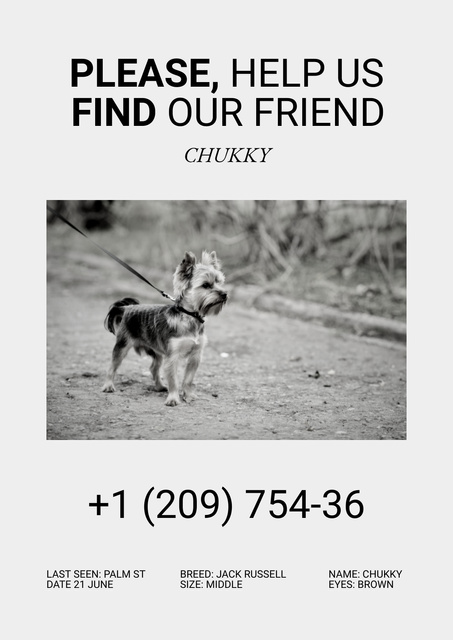 Announcement about Missing Puppy Poster Šablona návrhu