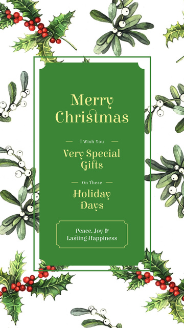 Mistletoe and holly pattern Instagram Story Design Template