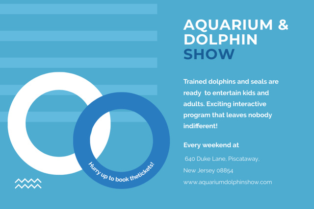Exciting Aquarium Dolphin Show Promotion in Blue Flyer 4x6in Horizontal Modelo de Design