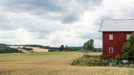 ruskea talo vehnäpellolla Zoom Background Design Template