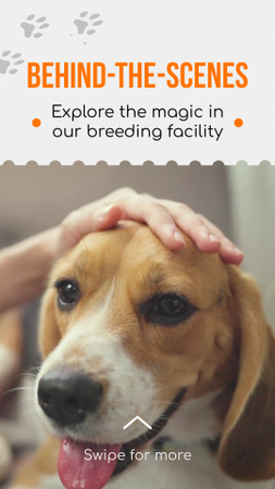 Pet Breeding Center Excursion Inside For Everyone Instagram Video Story Design Template