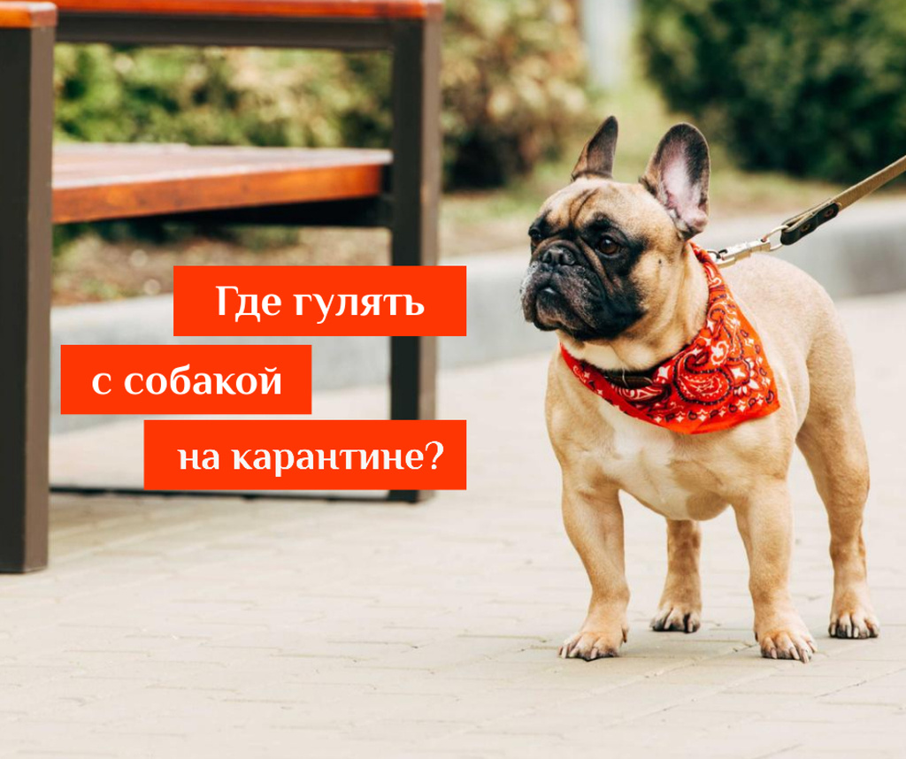 #FlattenTheCurve Walking with Dog during Quarantine Facebook Šablona návrhu