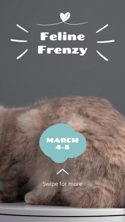 Подія «Чарівні коти» в березні. Оголошення TikTok Video – шаблон для дизайну