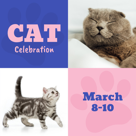 Lovely Cat Celebration And Contests Announcement Animated Post Design Template