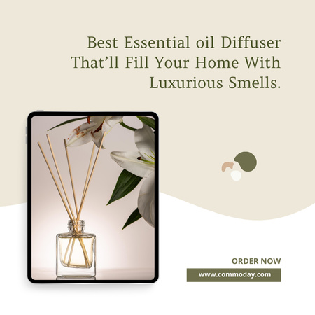 Oil Diffuser for Home Offer Instagram – шаблон для дизайна