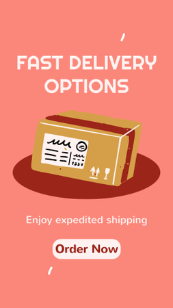 Platilla de diseño Fast Delivery Options for Your Parcels Instagram Video Story