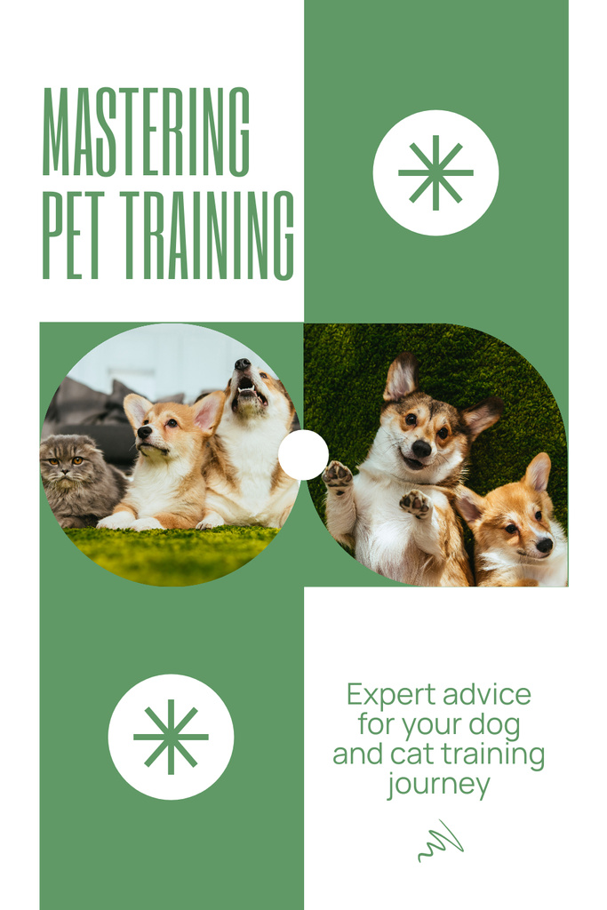 Designvorlage Masterful Pet Training Tips And Tricks für Pinterest
