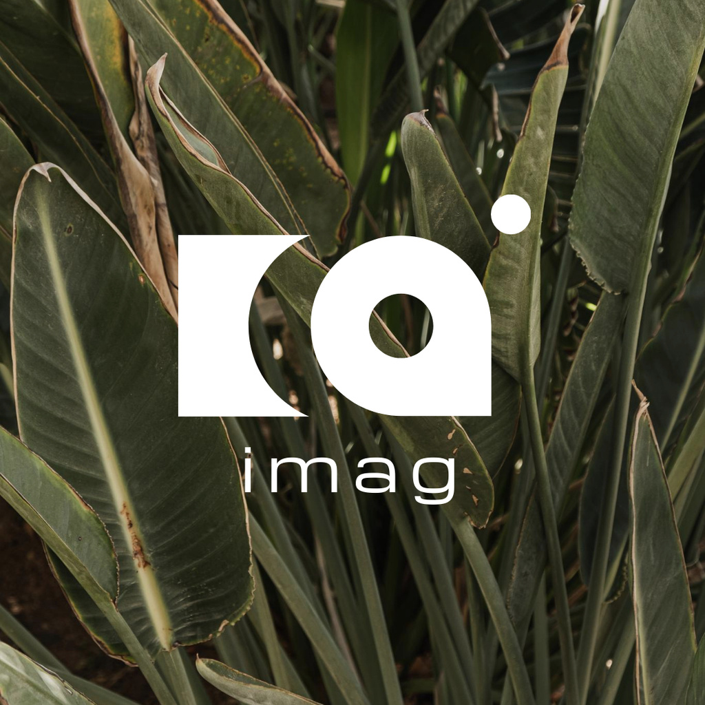 Lush Tropical Leaves Logo 1080x1080px – шаблон для дизайна