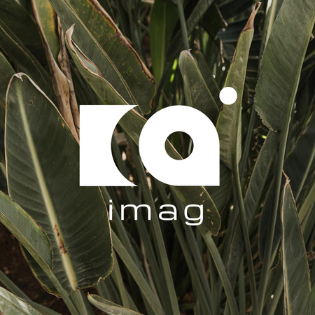 緑豊かな熱帯の葉 Logo 1080x1080pxデザインテンプレート