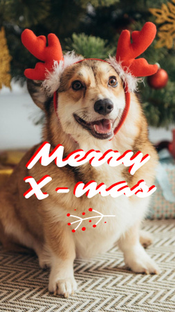 Designvorlage Cute Christmas Greeting with Dog für Instagram Video Story