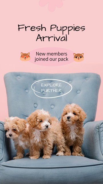 Ontwerpsjabloon van Instagram Video Story van Announcement Of Purebred Furry Friends Arrival