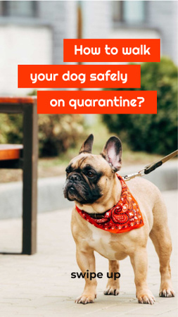 Plantilla de diseño de Walking with Dog during Quarantine Instagram Story 