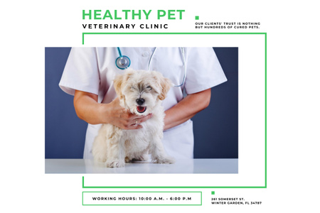 Plantilla de diseño de Anuncio de clínica veterinaria con médico y lindo perro Poster 24x36in Horizontal 