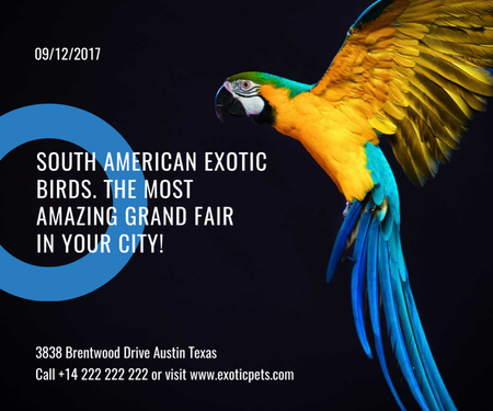 South American Exotic Birds Fair Medium Rectangle Design Template