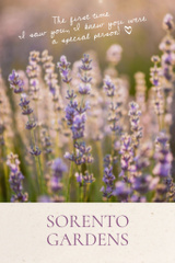 Gardens Advertisement With Tender Lavender Flowers