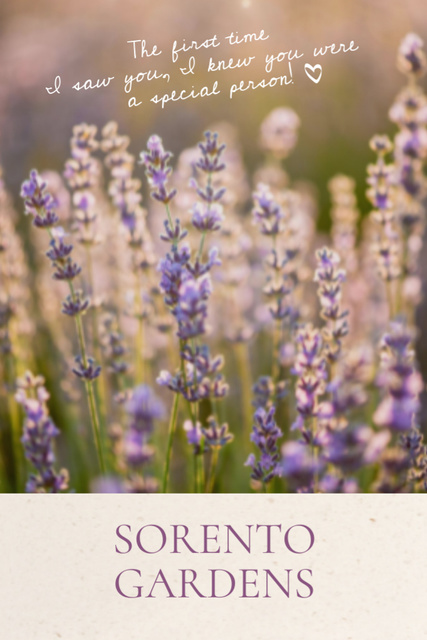 Platilla de diseño Gardens Advertisement With Tender Lavender Flowers Postcard 4x6in Vertical