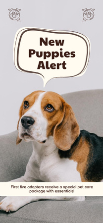 Plantilla de diseño de Alerta de nuevos cachorros con paquetes esenciales para el cliente Snapchat Geofilter 