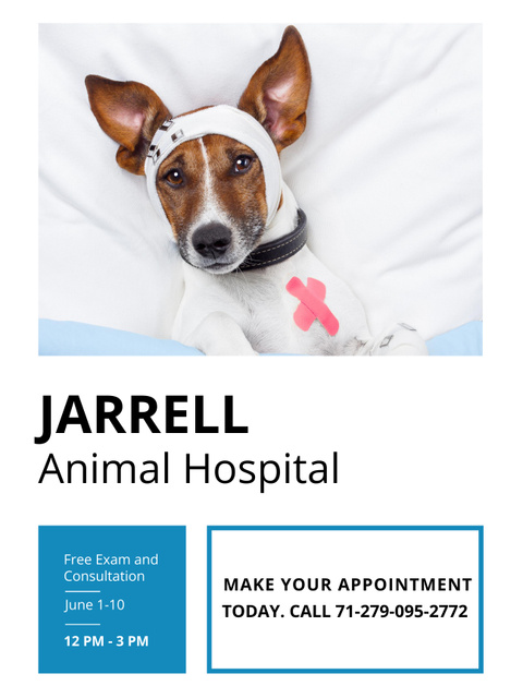 Veterinary Clinic Service Offer with Cute Dog Poster USデザインテンプレート